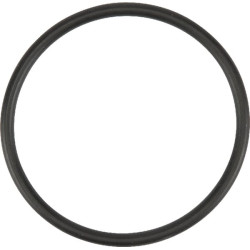 Termostato tarpiklis F291200610120