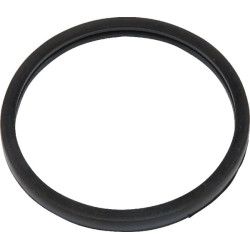 Termostato tarpiklis CNH 504030960