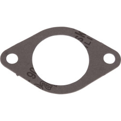 Termostato atramos tarpinė T20219N