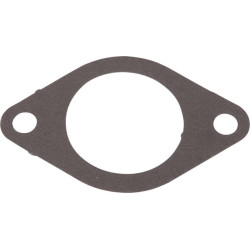 Termostato atramos tarpinė T20219N