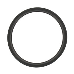 Termostato tarpiklis R521548