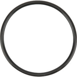 Termostato tarpiklis F716201050030