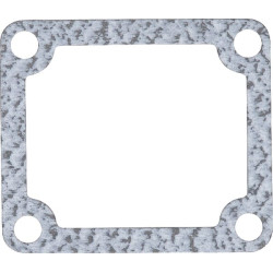 Termostato tarpiklis 4222851M1