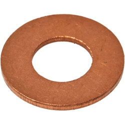 Purkštuko sandarinimo žiedas F824200710050