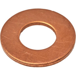 Purkštuko sandarinimo žiedas F824200710050