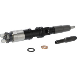 Įpurškimo antgalis DZ100216