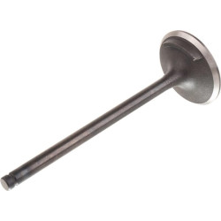 Variklio įsiurbimo vožtuvas 4821710