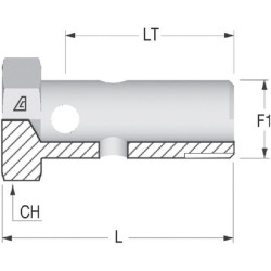 Banjo varžtas 1 BSP HBB16