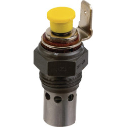 Kaitinimo žvakė F278201090030KR