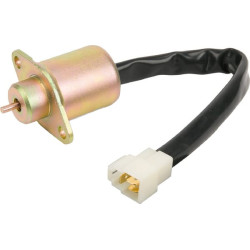 Kuro išjungimo solenoidas 1661660010KR