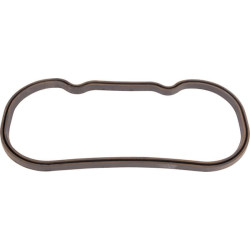 Svirties dangčio tarpiklis NH 4601054N