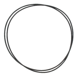 Svirties dangtelio tarpiklis R106796N