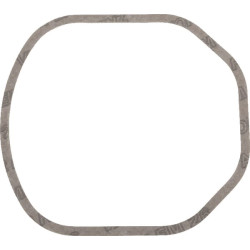 Svirties dangtelio tarpiklis 4232124N