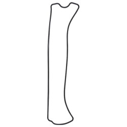 Svirties dangtelio tarpiklis R123542N