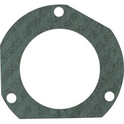 Išmetimo tarpiklis 385202100030