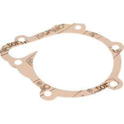 Vandens siurblio tarpiklis 4202975KR