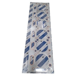 Cilindro galvutės tarpinė CNH 98493462N