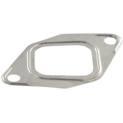 Išmetimo kolektoriaus tarpinė 3132434R1