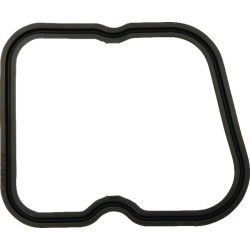 Svirties dangtelio tarpiklis 6005031156