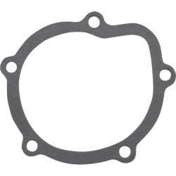 Vandens siurblio tarpiklis C-330 26900050004510