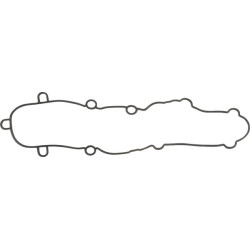 Svirties dangtelio tarpiklis F411201210170