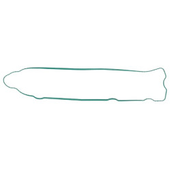 Svirties dangtelio tarpiklis R524468