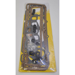 Cilindro galvutės tarpiklių komplektas 81743746N