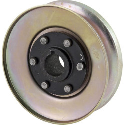 Generatoriaus skriemulys, skirtas C-360 29600050457630