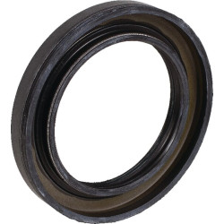 Sandariklis (GTV) AL76984