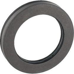 Sandariklis (GTV) AL150750