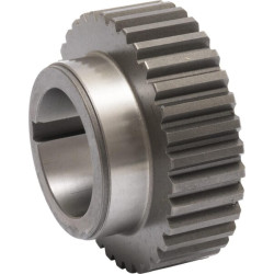 Dantyta stebulė 5103748N