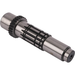 Kardaninis velenas R129768