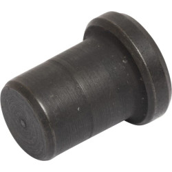 Centrinis kaištis 4999660N