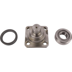 Karališkasis kaištis CI145714