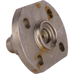 Karališkasis kaištis CI118511