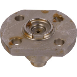 Karališkasis kaištis CI118511