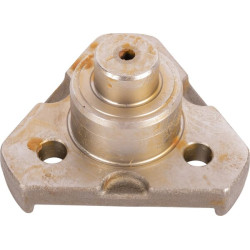 Kaltiniai, kaištis CI115729