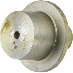 Kaltiniai, kaištis CI096851