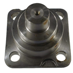 Suklio kaištis Carraro CI143239