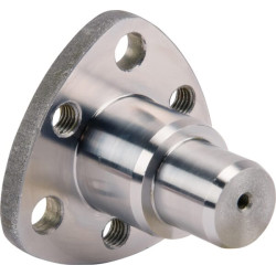 Karaliaus kaištis CI535861