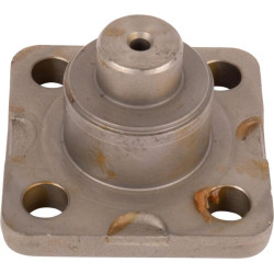 Kaltiniai, kaištis CI149508