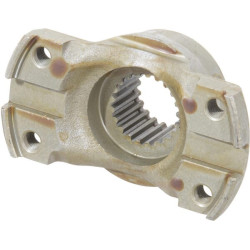 Kaltiniai, flanšas CI137653