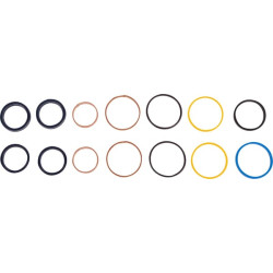 Remonto komplektas, vairo cilindras 2112445003