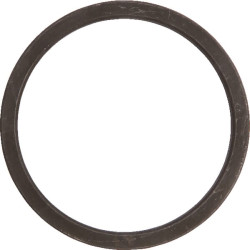 Plieninis žiedas 7600600501