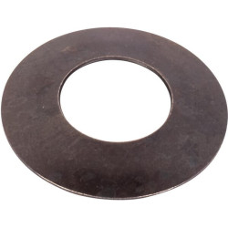 Frikcinė poveržlė 7250401901