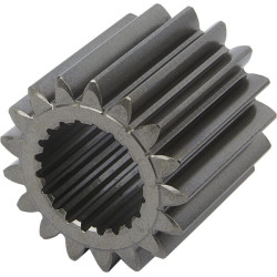 Palydovas 2110602602