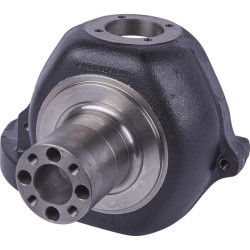 Ašies ašis 2790600309