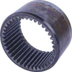 Pavaros žiedas 1710600502