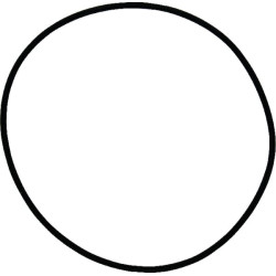 O žiedas 1120700801