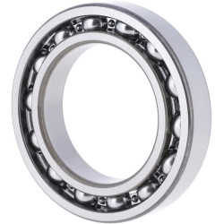 Gilaus griovelio rutulinis guolis 10226447